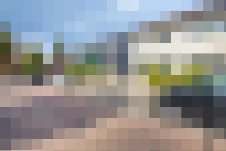 Smeden 48 Emmeloord thumbnail 40