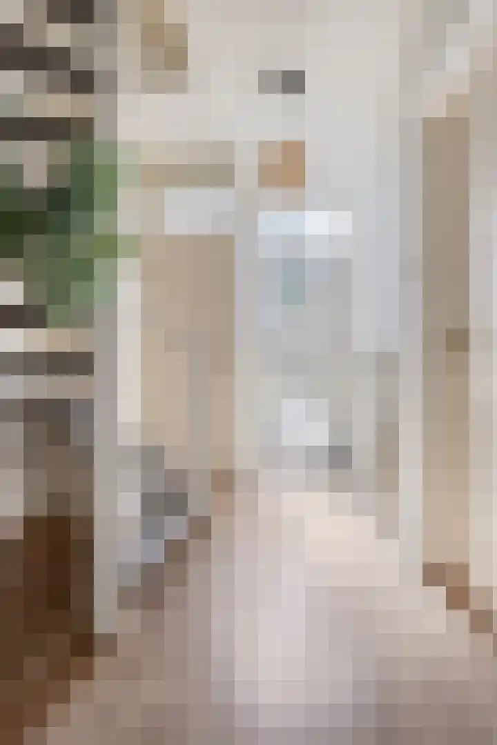 Smeden 48 Emmeloord thumbnail 6