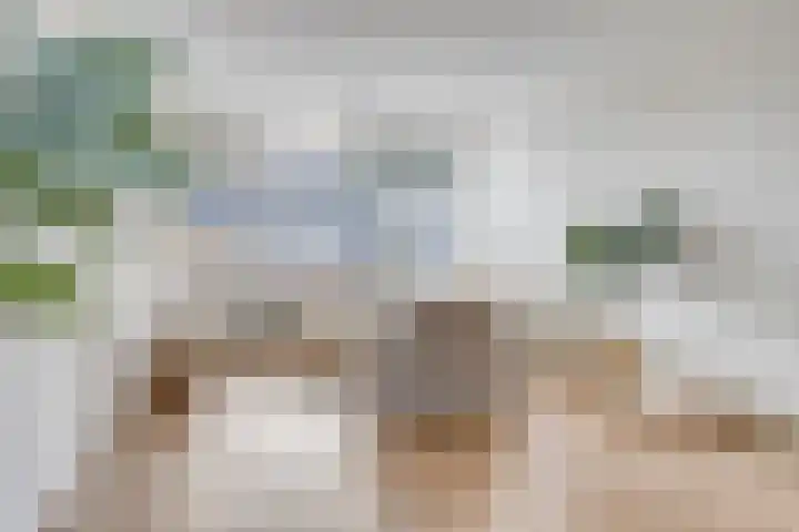 Smeden 48 Emmeloord thumbnail 7