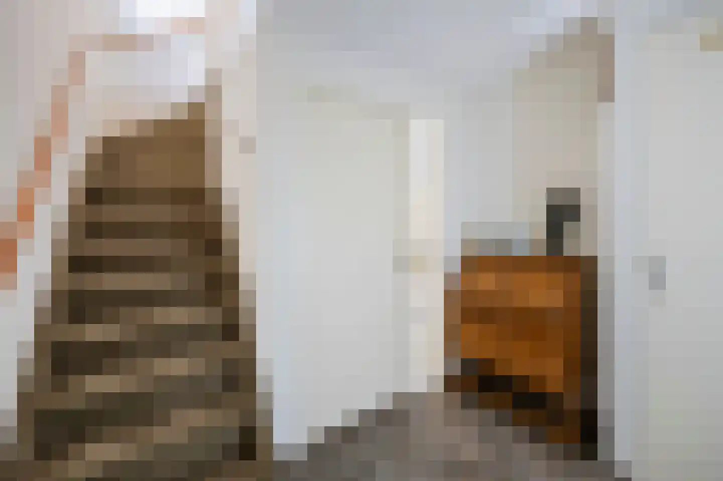 Smedenstraat 10 Echt thumbnail 10
