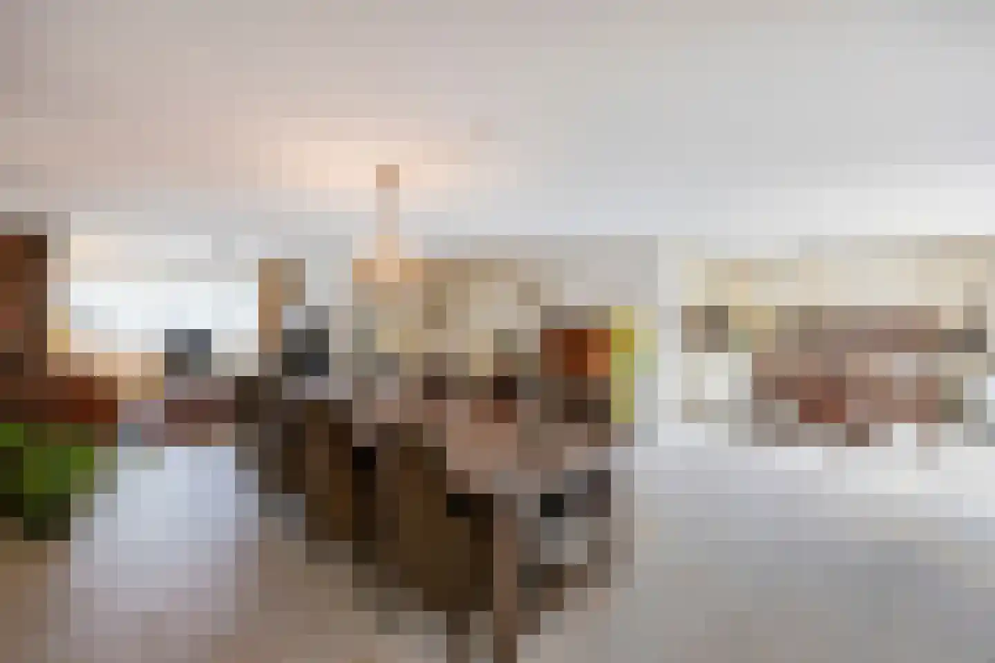 Smedenstraat 10 Echt thumbnail 18