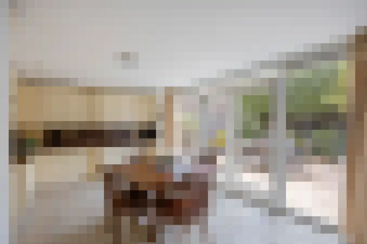 Smedenstraat 10 Echt thumbnail 21