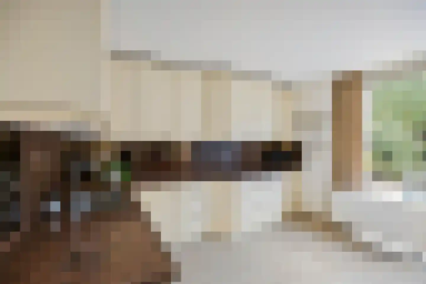 Smedenstraat 10 Echt thumbnail 22