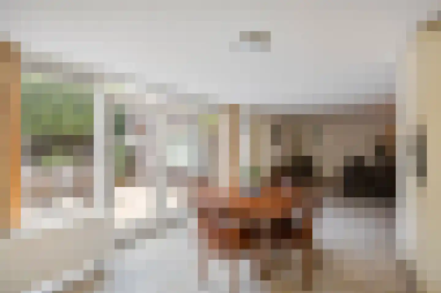 Smedenstraat 10 Echt thumbnail 25