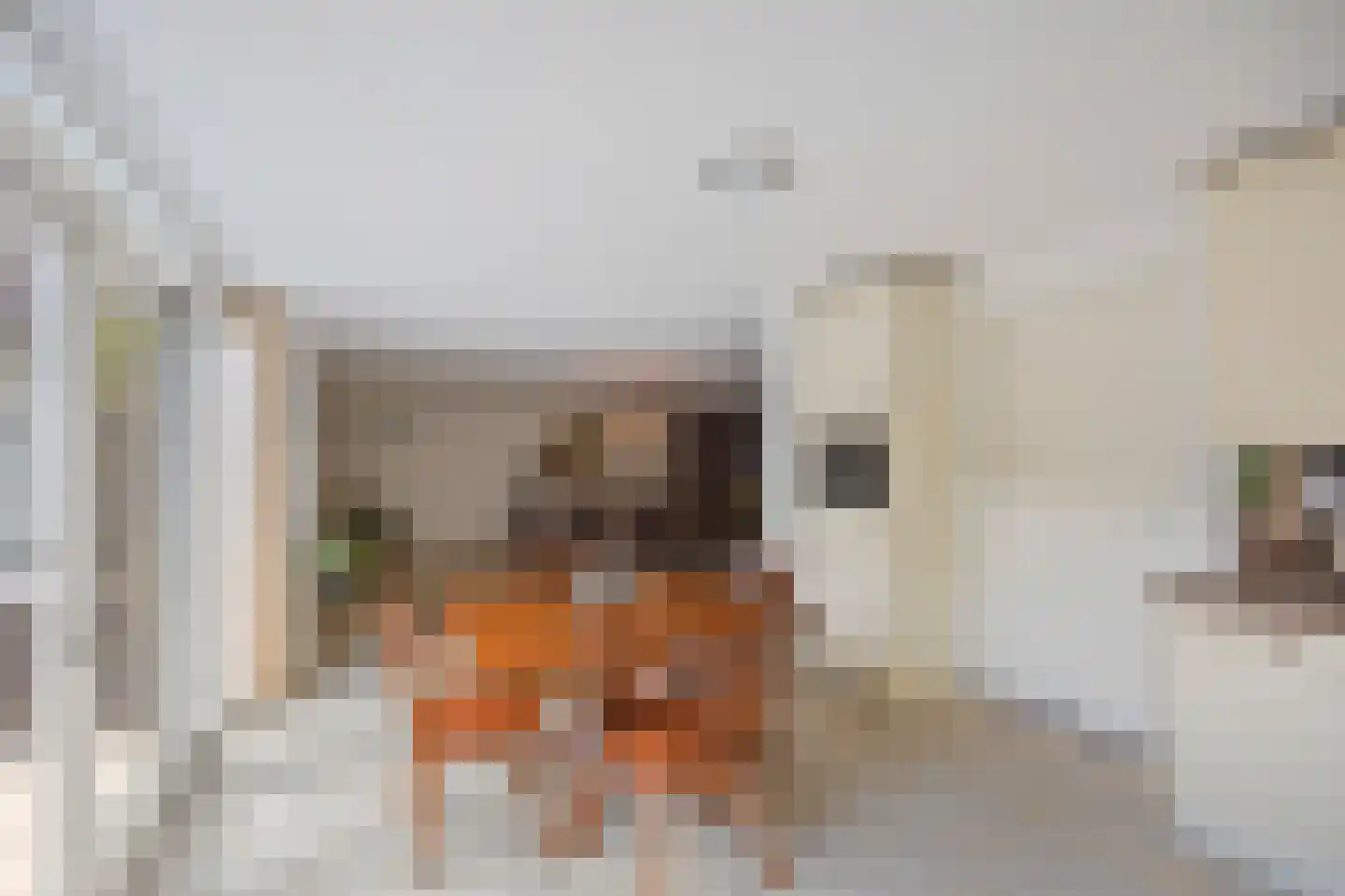 Smedenstraat 10 Echt thumbnail 26