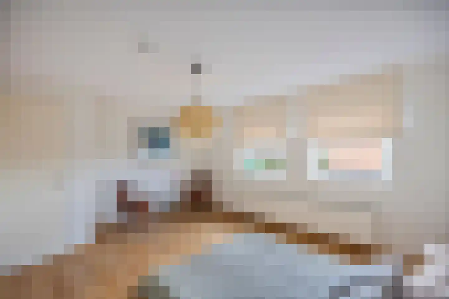 Smedenstraat 10 Echt thumbnail 40