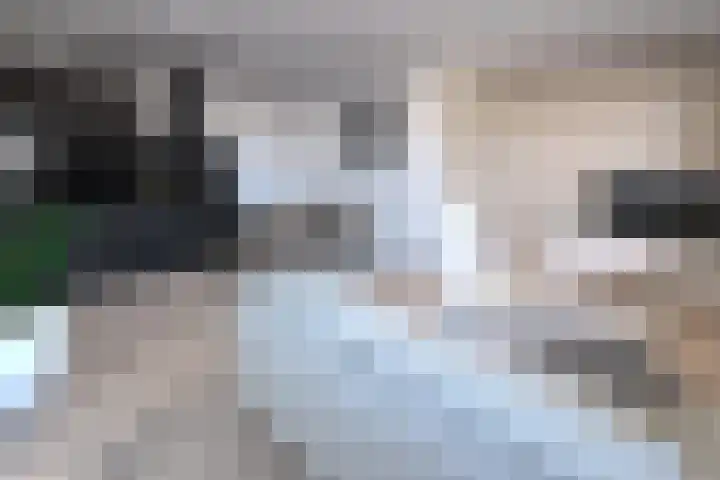 Smedenstraat 100 in Deventer