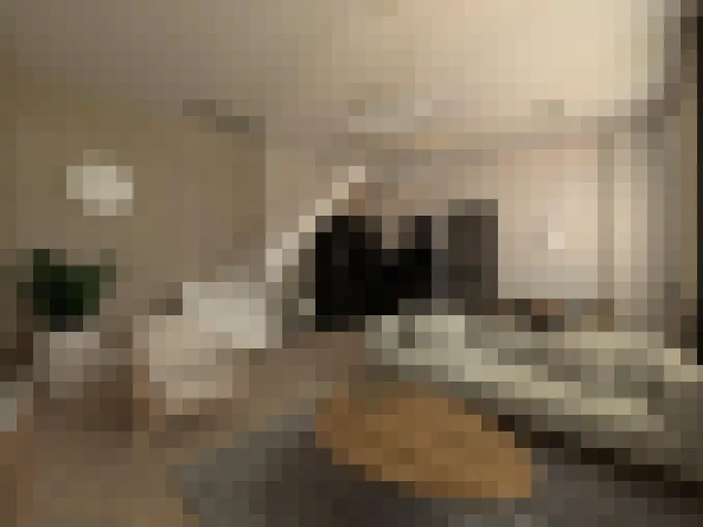 Smedenstraat 104 C Deventer