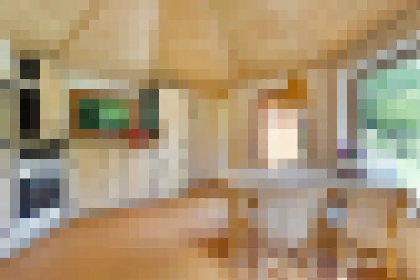 Smedenstraat 104 R in Deventer