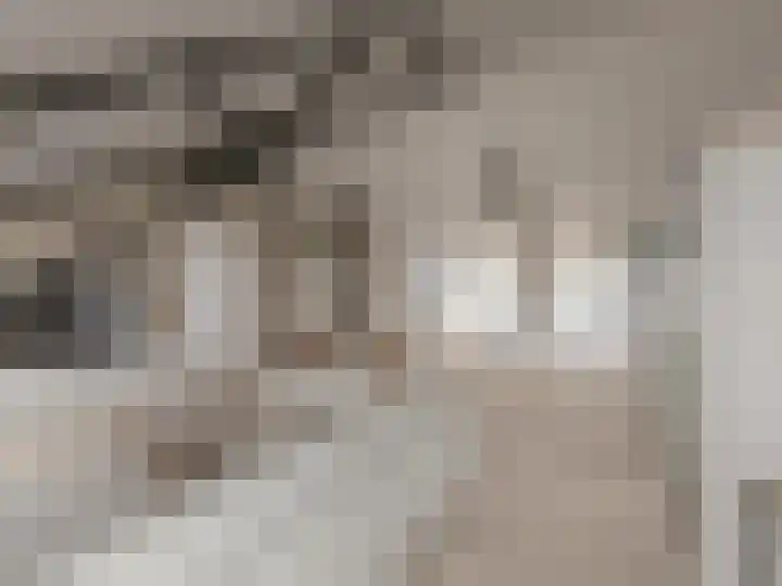 Smedenstraat 104 V Deventer