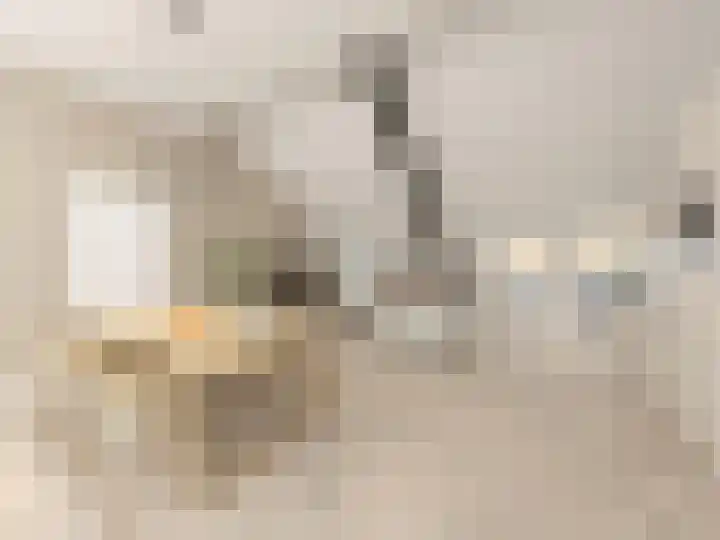 Smedenstraat 104 W in Deventer