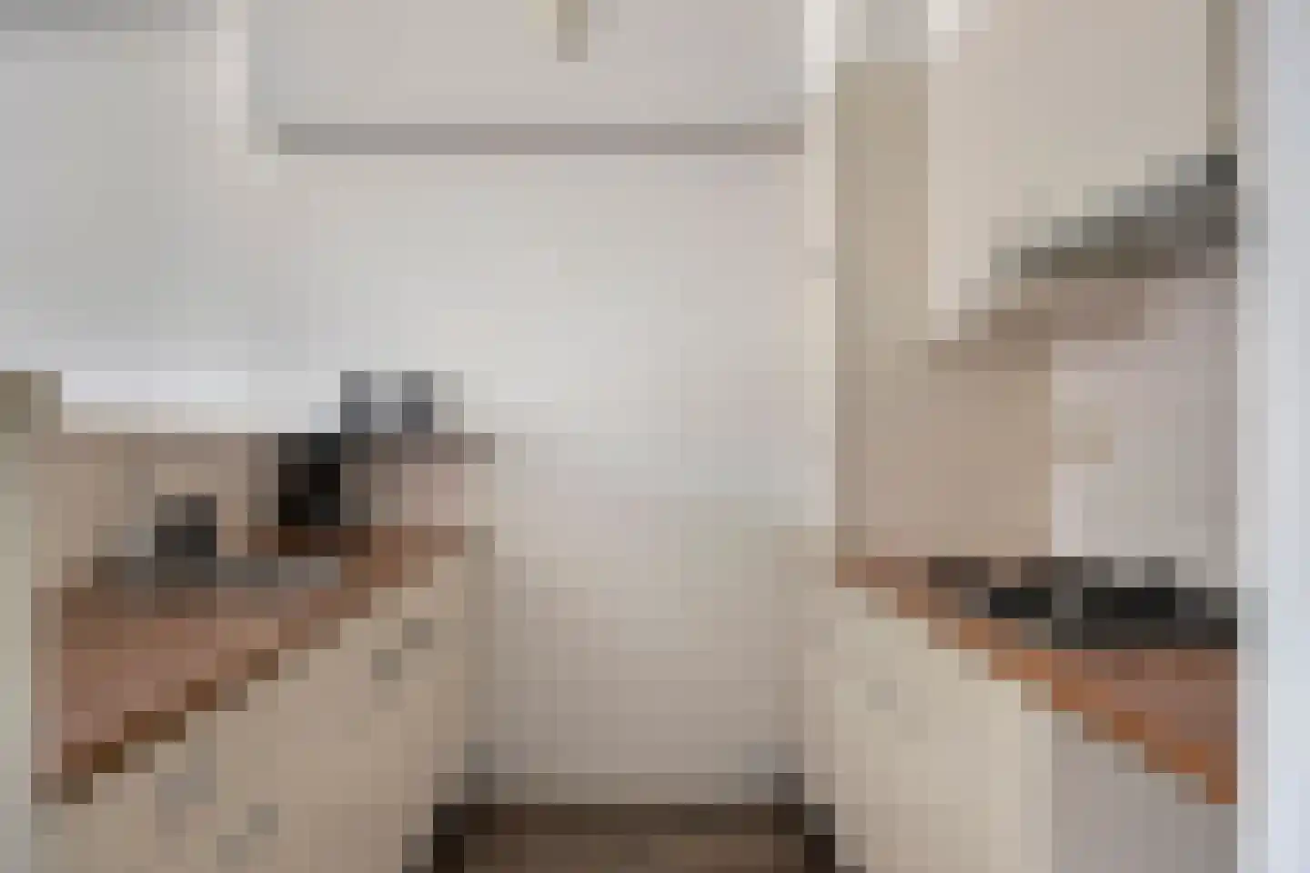 Smedenstraat 13 Vaassen thumbnail 10
