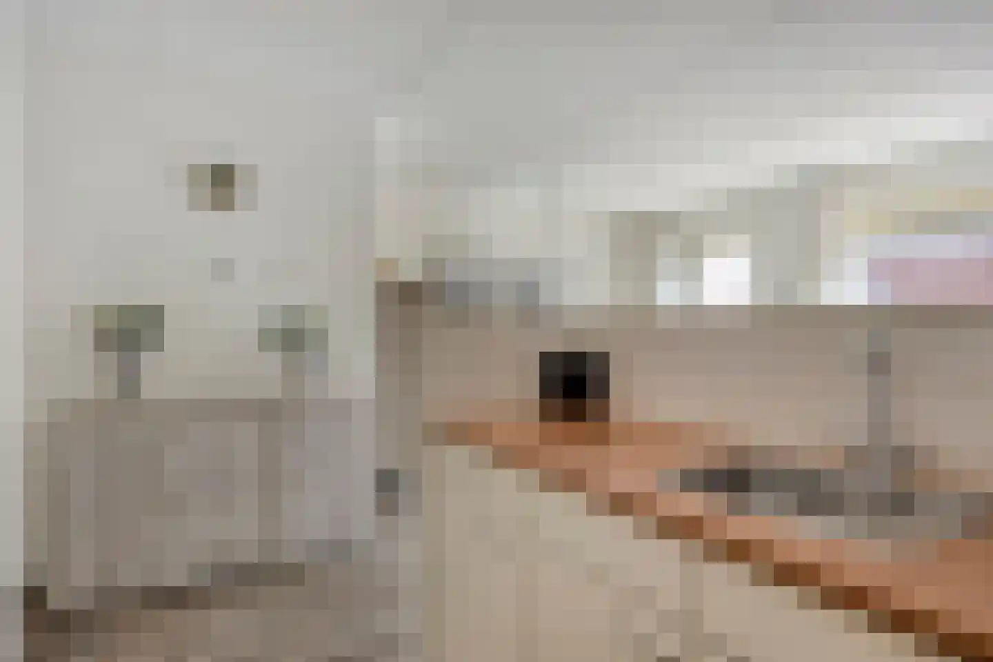 Smedenstraat 13 Vaassen thumbnail 11