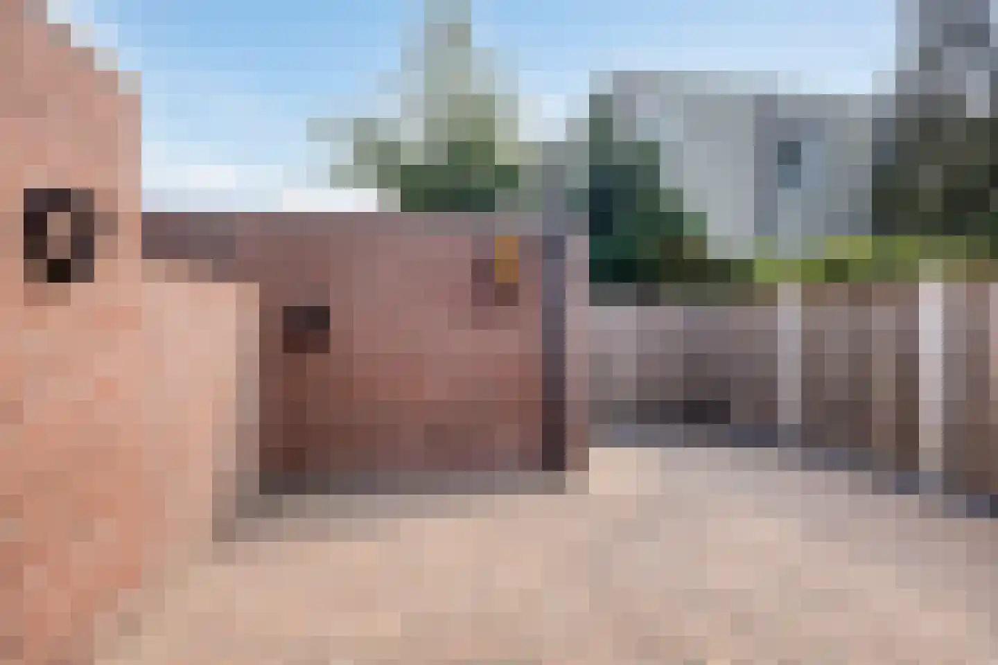 Smedenstraat 13 Vaassen thumbnail 18