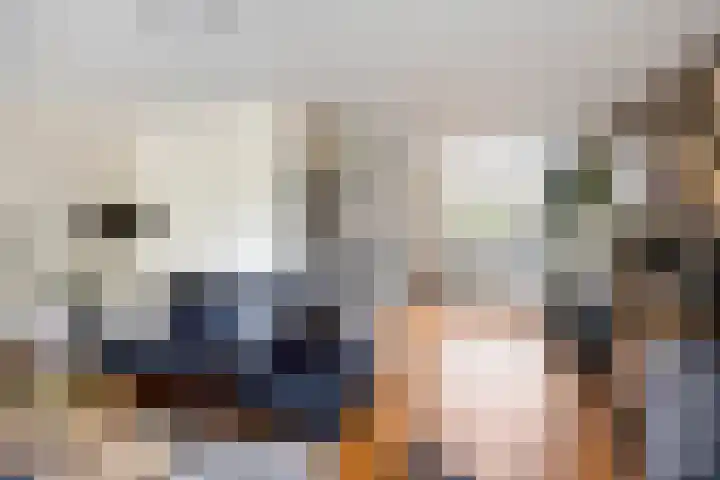 Smedenstraat 20 Vaassen thumbnail 10