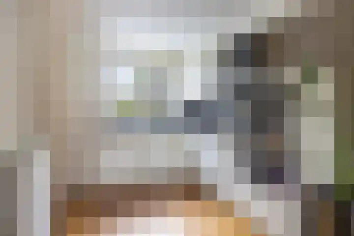Smedenstraat 20 Vaassen thumbnail 12