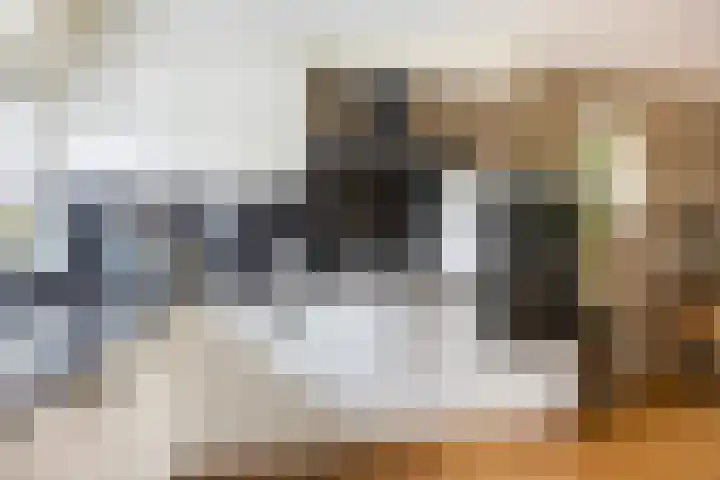 Smedenstraat 20 Vaassen thumbnail 13