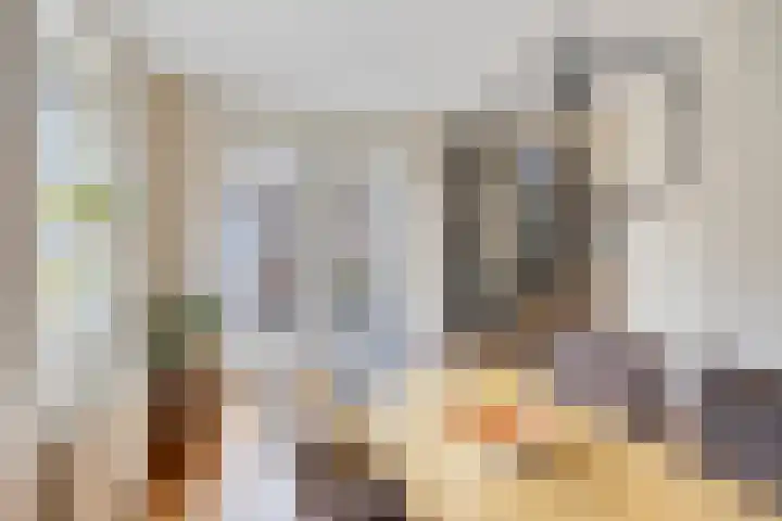 Smedenstraat 20 Vaassen thumbnail 18