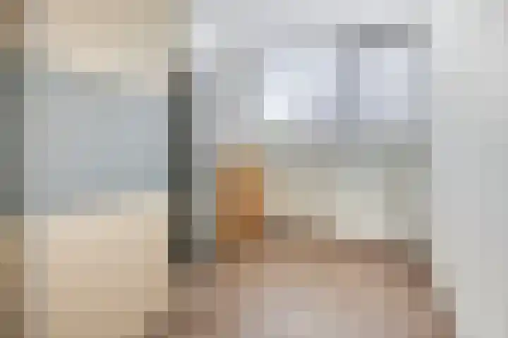 Smedenstraat 20 Vaassen thumbnail 22