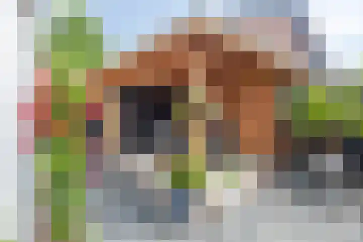 Smedenstraat 20 Vaassen thumbnail 32