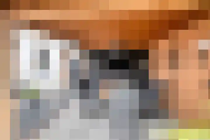 Smedenstraat 20 Vaassen thumbnail 33
