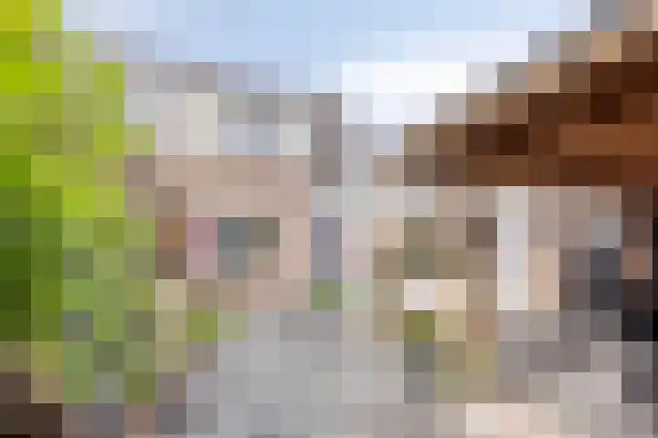 Smedenstraat 20 Vaassen thumbnail 37