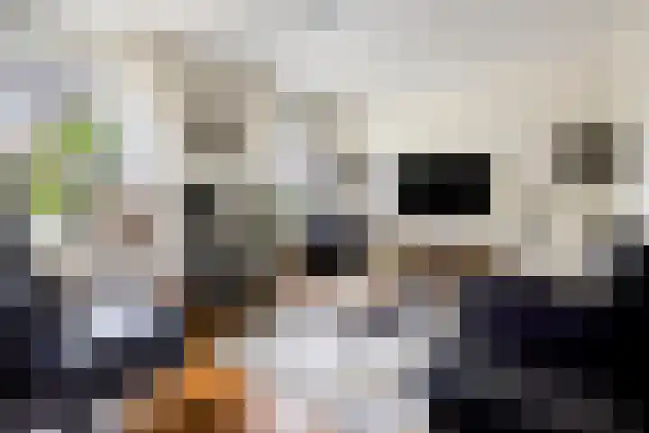 Smedenstraat 20 Vaassen thumbnail 7