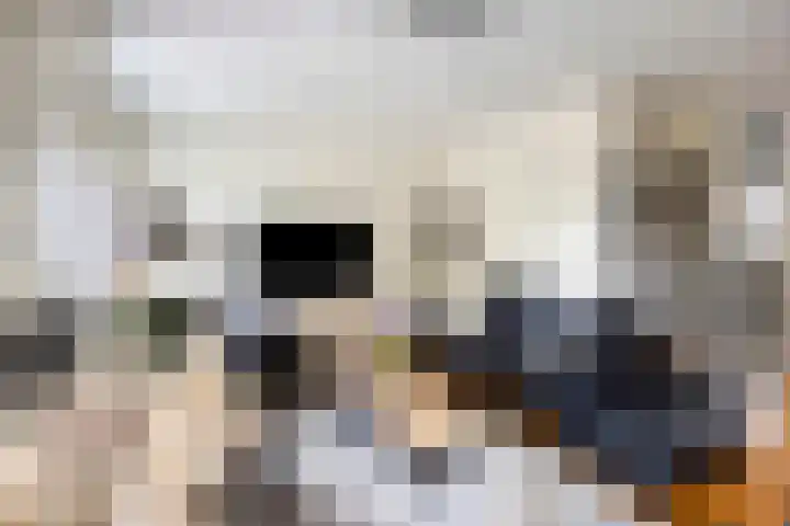 Smedenstraat 20 Vaassen thumbnail 8