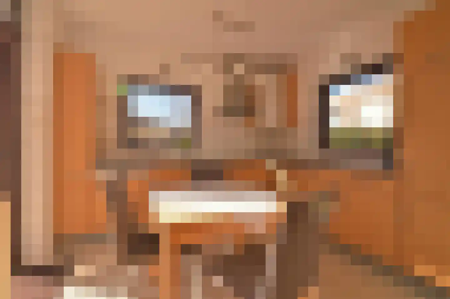 Smedenstraat 6 Kerkrade thumbnail 19