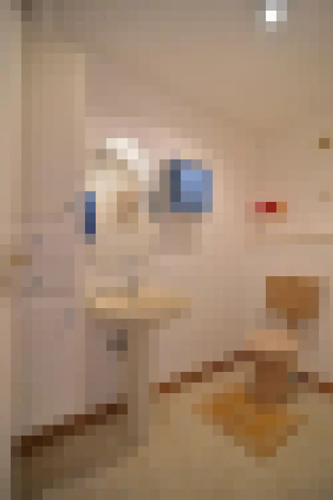 Smedenstraat 6 Kerkrade thumbnail 36
