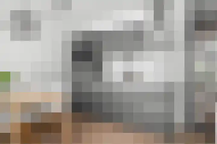 Smedenstraat 72 D Deventer thumbnail 8