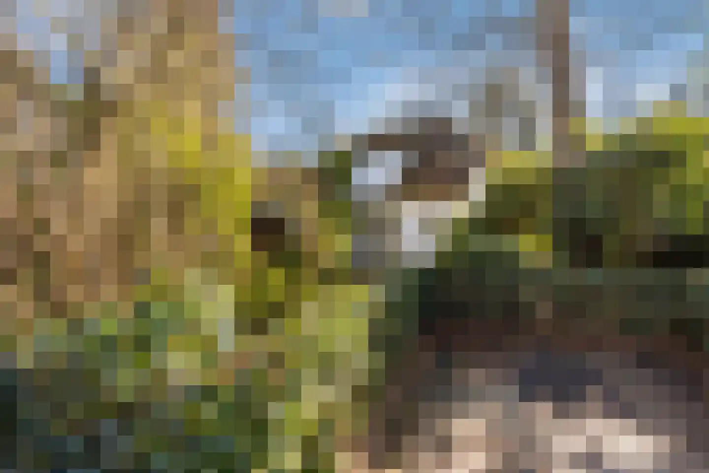 Smedenweg 1 Blaricum thumbnail 10