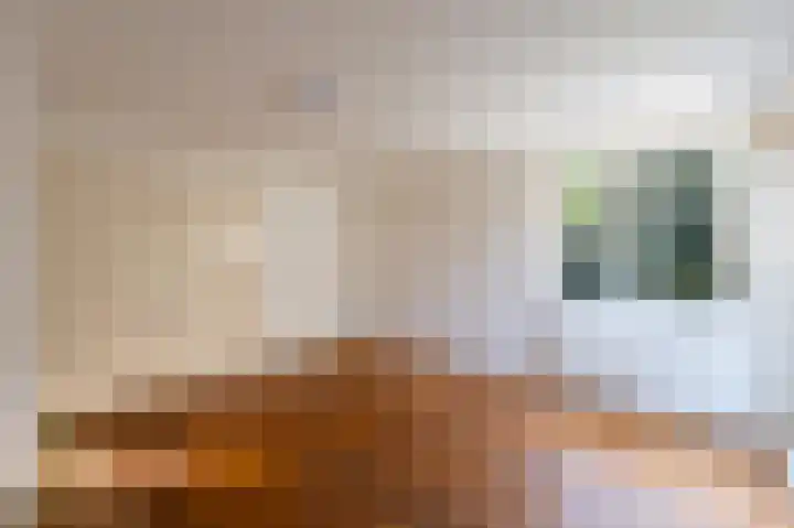 Smedenweg 1 Blaricum thumbnail 14