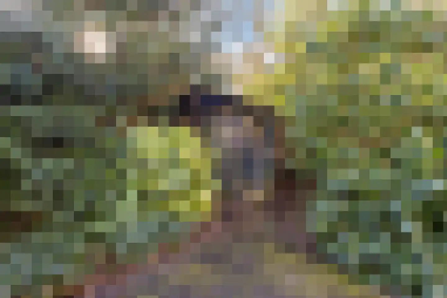 Smedenweg 1 Blaricum thumbnail 32