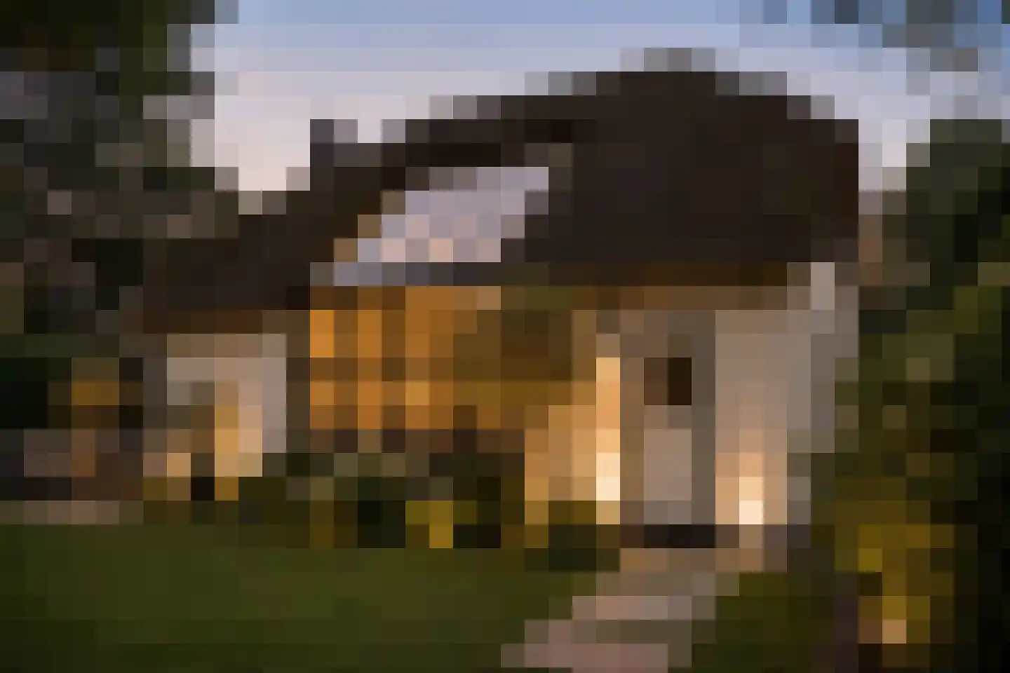 Smedenweg 1 Blaricum thumbnail 4