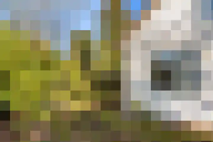 Smedenweg 1 Blaricum thumbnail 5