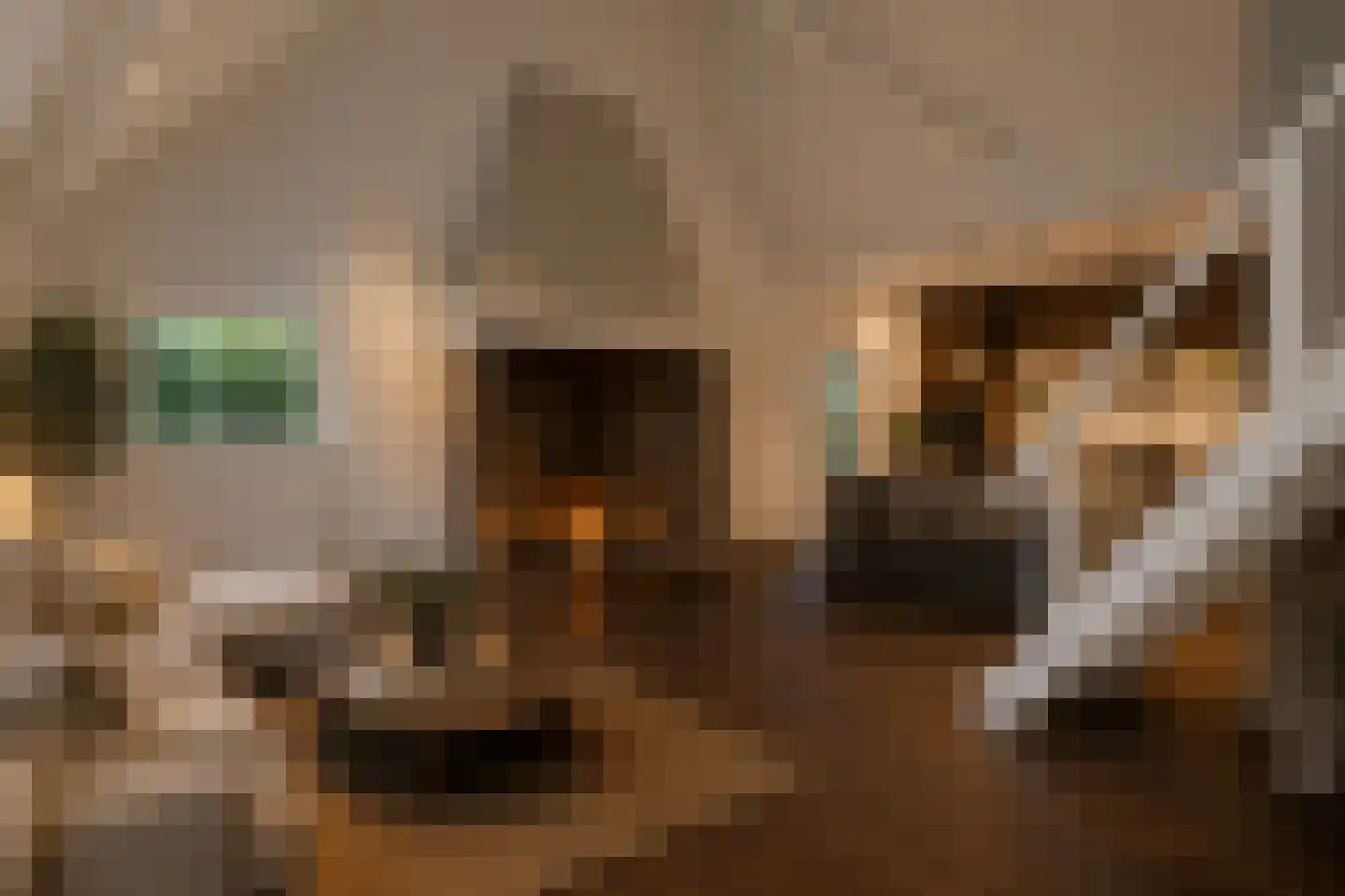 Smedenweg 1 Blaricum thumbnail 5