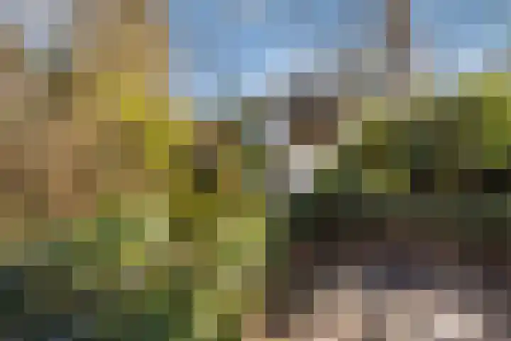 Smedenweg 1 Blaricum thumbnail 7