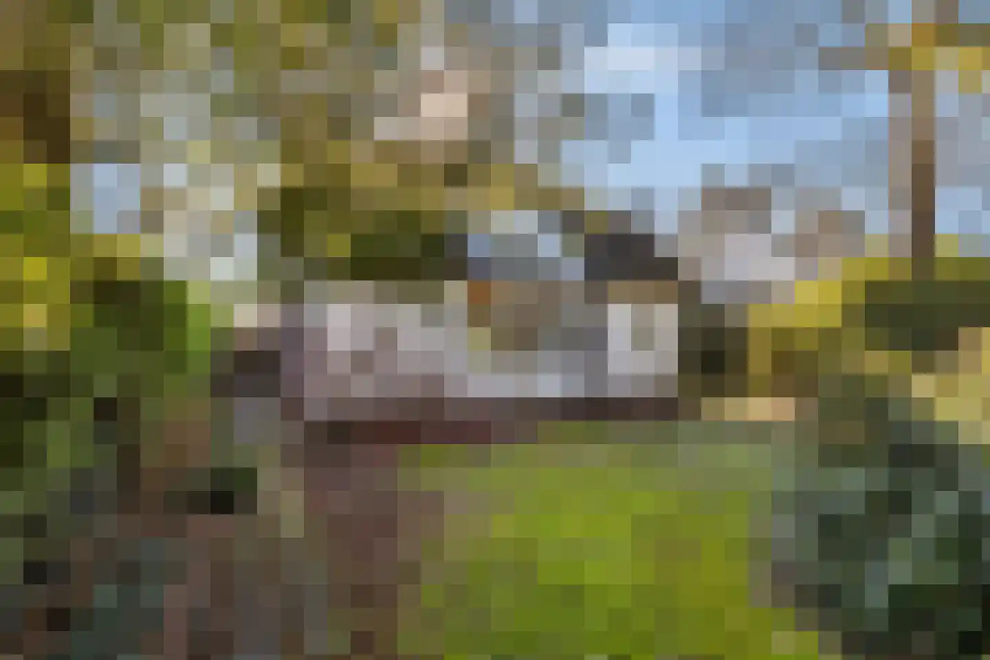 Smedenweg 1 Blaricum thumbnail 8