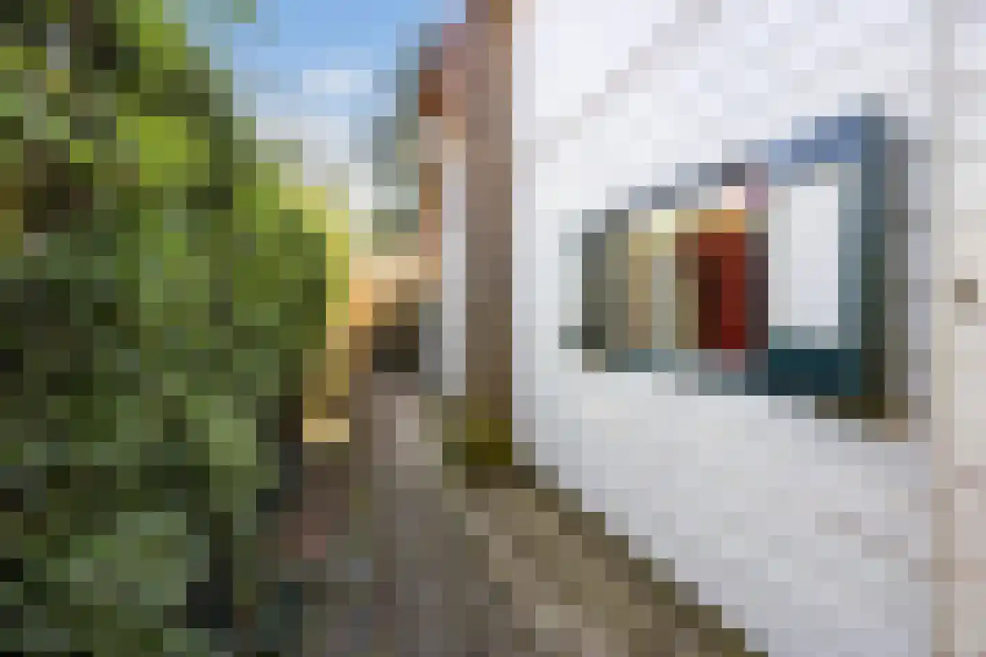 Smedenweg 1 Blaricum thumbnail 9