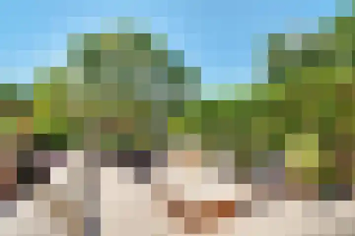 Smedenweg 23 Nieuw-Vennep thumbnail 16