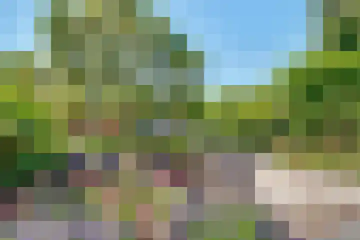 Smedenweg 23 Nieuw-Vennep thumbnail 17