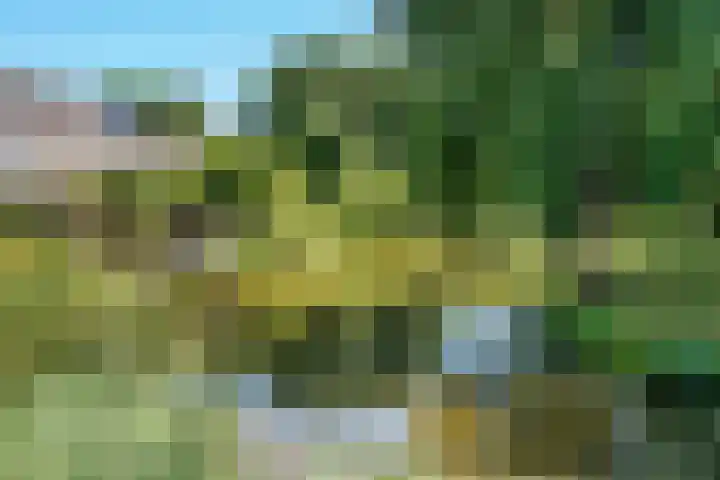 Smedenweg 23 Nieuw-Vennep thumbnail 19