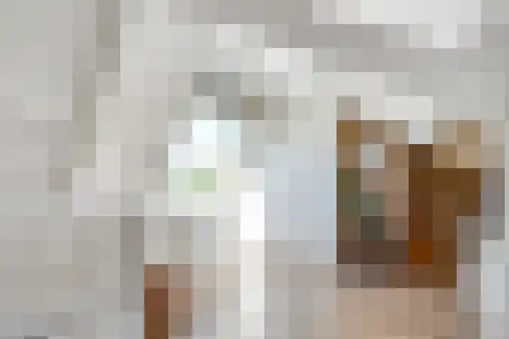 Smedenweg 23 Nieuw-Vennep thumbnail 48