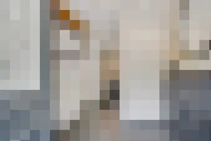 Smedenweg 23 Nieuw-Vennep thumbnail 8