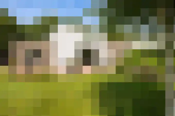 Smedenweg 55 Nieuw-Vennep thumbnail 39