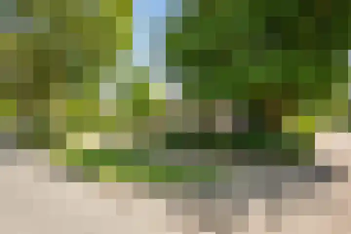 Smedenweg 55 Nieuw-Vennep thumbnail 42