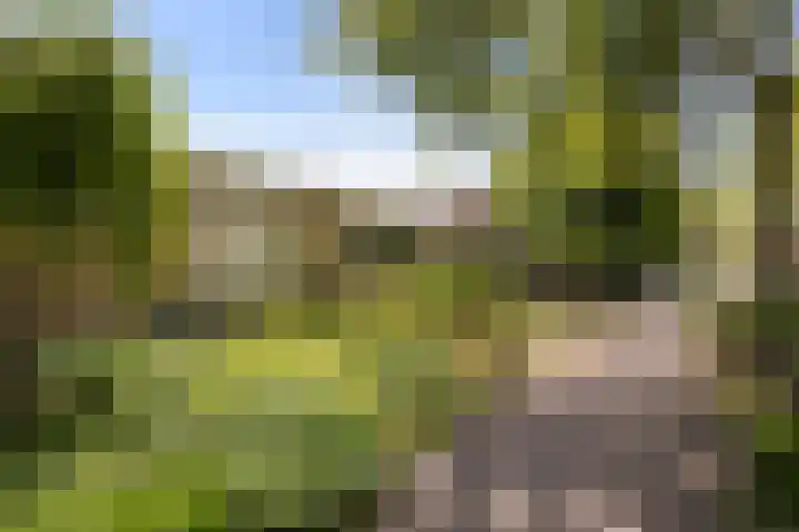 Smedenweg 55 Nieuw-Vennep thumbnail 43