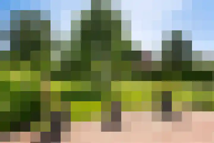 Smedenweg 55 Nieuw-Vennep thumbnail 6