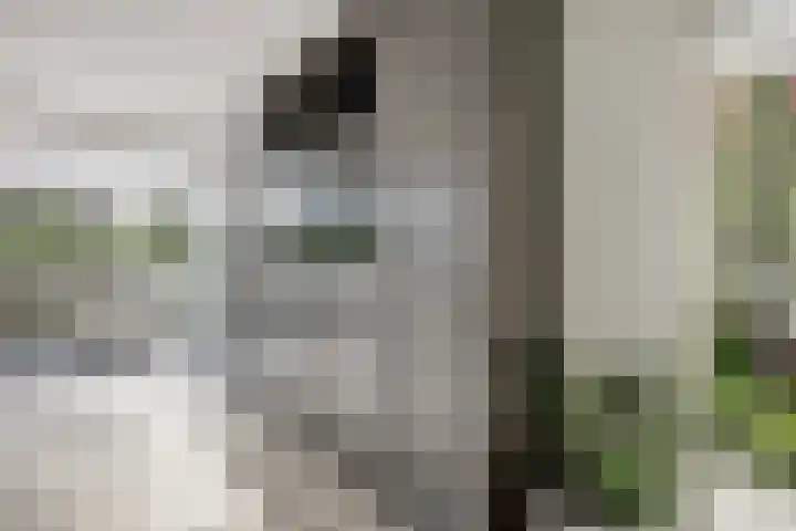 Smederij 19 Dronten thumbnail 16